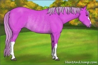 Horse Color:Watercolor Chestnut Rabicano 