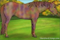 Horse Color:Nacre Chestnut 
