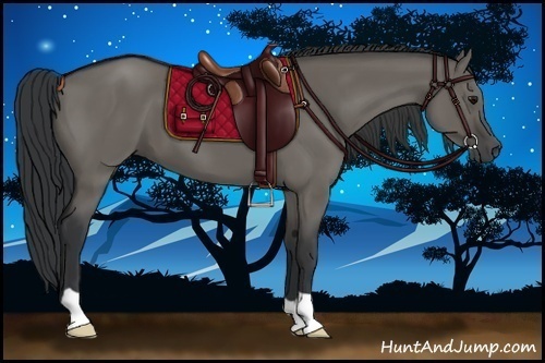 Horse Color:Grullo 