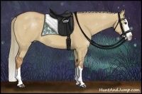 Horse Color:Red Dun Splash 