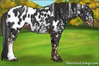 Horse Color:White Spotted Liver Chestnut Blanket 