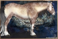 Horse Color:Bay Ice Onyx Sabino 
