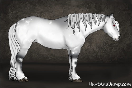 Horse Color:White Spotted Silver Bay Chinchilla Onyx 