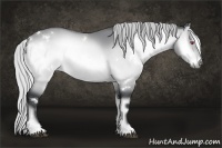 Horse Color:White Spotted Silver Bay Chinchilla Onyx 