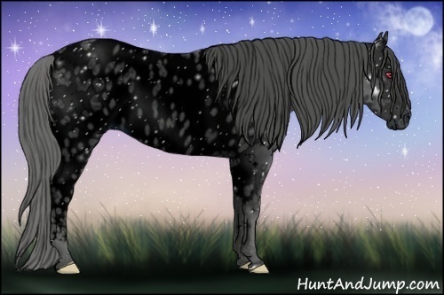 Horse Color:ERROR: UNKNOWN ANOMALY