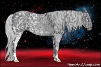 Horse Color:Silver Black Chinchilla Ice