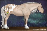 Horse Color:Silver Bay Pearl Appaloosa 