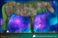 Horse Color:Watercolor Buckskin Ice 