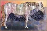 Horse Color:Liver Chestnut Ice Sabino Rabicano 
