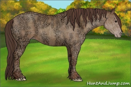 Horse Color:Classic Champagne Ice 