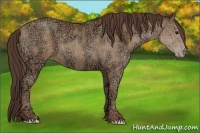 Horse Color:Classic Champagne Ice 