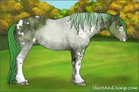 Horse Color:Watercolor White Spotted Classic Champagne Ice