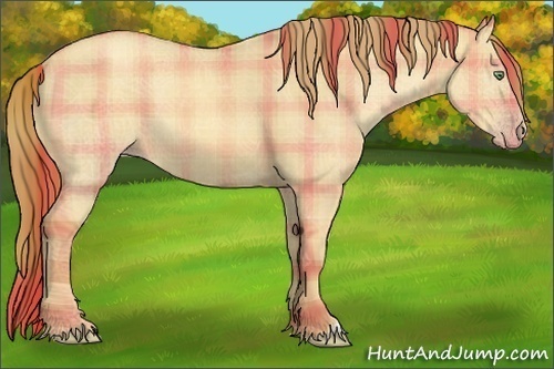Horse Color:Plaid Gold Champagne Dun
