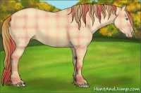 Horse Color:Plaid Gold Champagne Dun