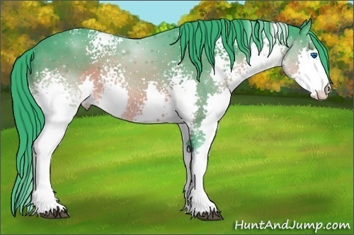 Horse Color:Watercolor White Spotted Brown Splash 