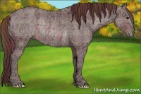 Horse Color:Plaid Chocolate Brown Ice Rabicano