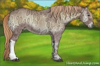 Horse Color:Red Onyx Ice