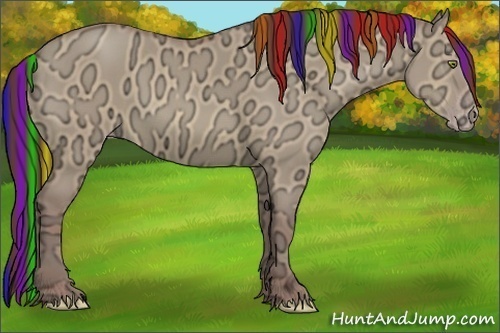 Horse Color:Painted Chocolate Sable Champagne Ice Dun Rabicano