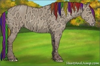 Horse Color:Painted Chocolate Sable Champagne Ice Dun Rabicano
