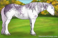 Horse Color:Watercolor White Spotted Silver Brown Ice Sabino Splash