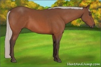 Horse Color:Silver Bay