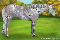 Horse Color:Nacre White Spotted Silver Black Chinchilla Ice