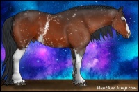 Horse Color:White Spotted Bay 