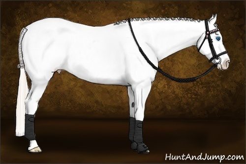 Horse Color:Silver Bay Dun Splash Tobiano Blanket Rabicano 