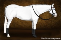 Horse Color:Silver Bay Dun Splash Tobiano Blanket Rabicano