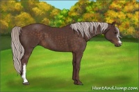 Horse Color:Chocolate Silver Bay 