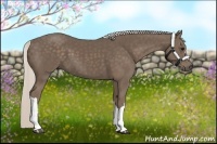 Horse Color:Silver Black 