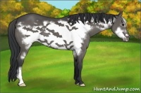 Horse Color:Black Frame 