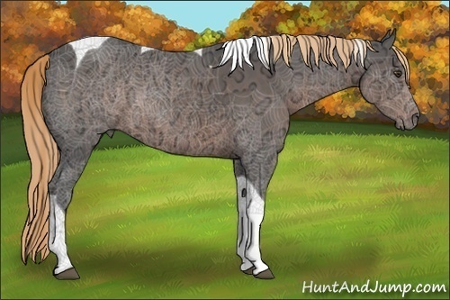 Horse Color:Liver Chestnut Ice Tobiano 