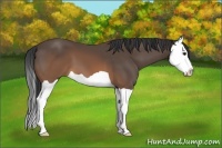 Horse Color:Brown Splash