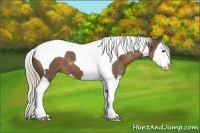 Horse Color:Silver Black Sabino Splash Tobiano 