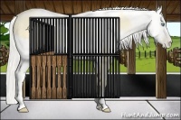 Horse Color:Buckskin Roan Pearl  and Amber Cream Champagne Roan Pearl 