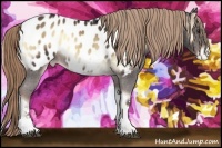 Horse Color:Liver Red Onyx Tobiano Blanket Rabicano 