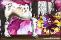 Horse Color:Liver Red Onyx Tobiano 