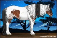 Horse Color:Bay Ice Tobiano 