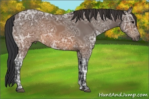 Horse Color:Brown Ice 