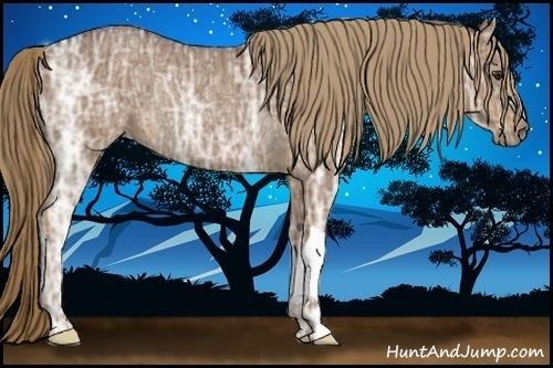 Horse Color:Liver Chestnut Ice Rabicano 