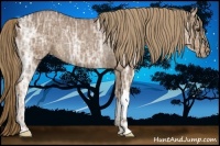 Horse Color:Liver Chestnut Ice Rabicano 