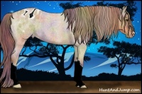 Horse Color:Nacre Red Dun Roan Appaloosa 