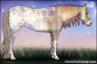 Horse Color:Nacre Palomino Ice Onyx 