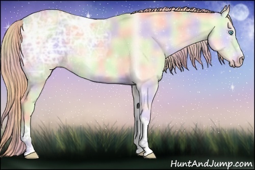 Horse Color:Nacre Perlino Ice Onyx 