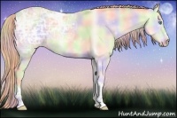 Horse Color:Nacre Perlino Ice Onyx 