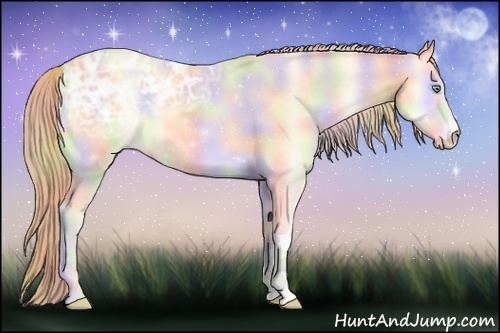 Horse Color:Nacre Perlino Ice Onyx 