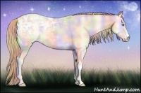 Horse Color:Nacre Perlino Ice Onyx 