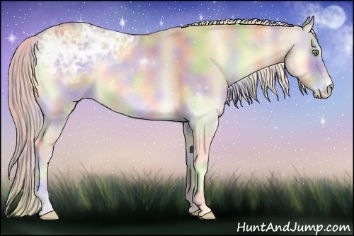 Horse Color:Nacre Cremello Ice Onyx 