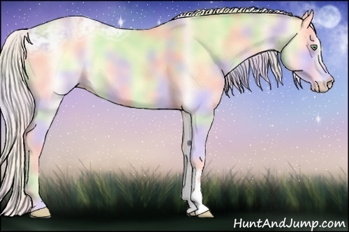 Horse Color:Nacre Cremello Ice Onyx 